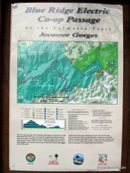 IMG_4456 IMG_4456