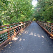 Swamp Rabbit Trail, 2010
