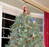 A Real Christmas Tree