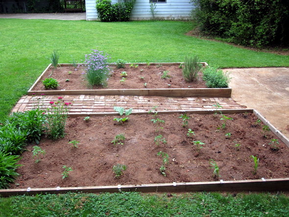 Backyard Garden, 2010