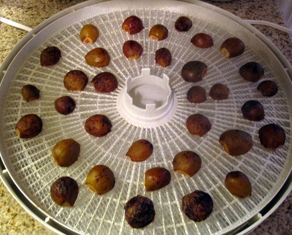 Port-Dried Figs